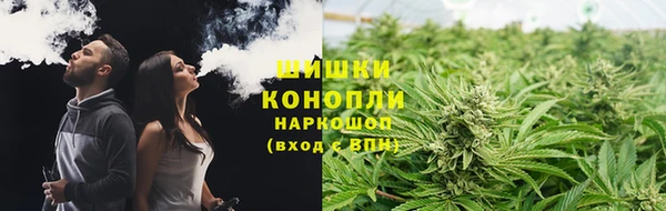 PSILOCYBIN Бородино
