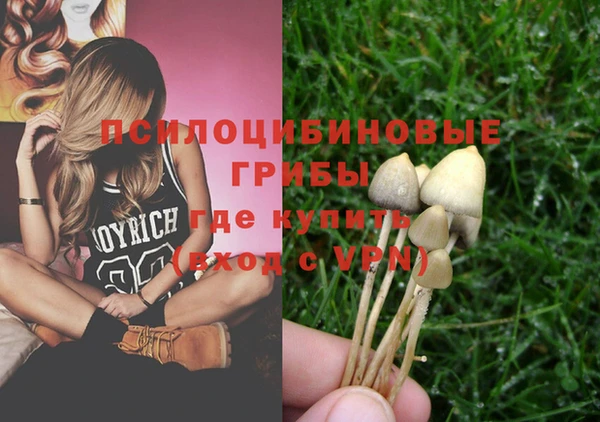 PSILOCYBIN Бородино