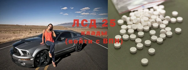 PSILOCYBIN Бородино