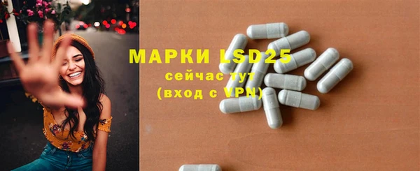 PSILOCYBIN Бородино
