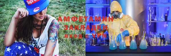 PSILOCYBIN Бородино