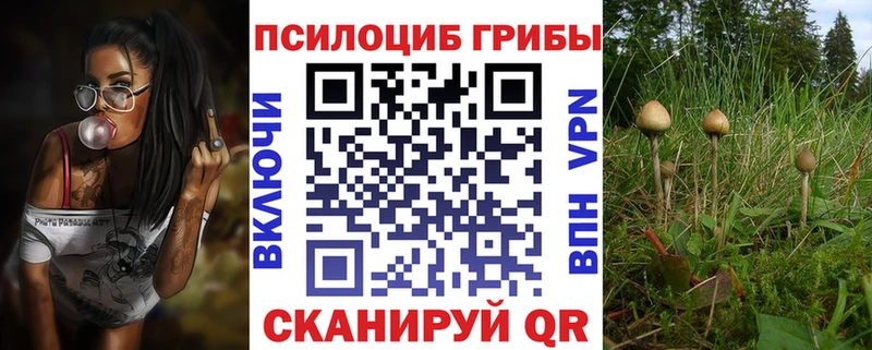 Псилоцибиновые грибы GOLDEN TEACHER Томари
