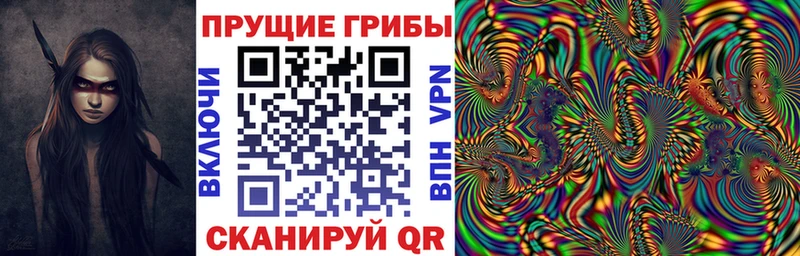 Галлюциногенные грибы Magic Shrooms  где купить   Томари 
